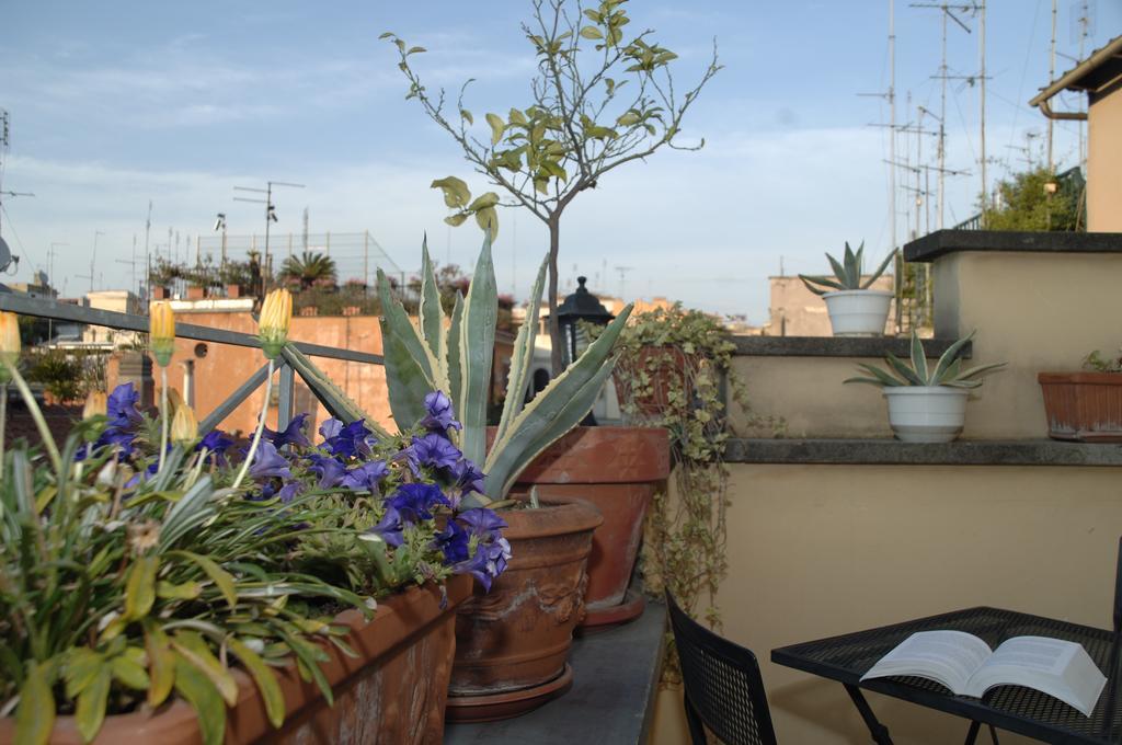 Hotel Fellini 3*